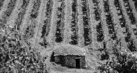 Photo principale du domaine