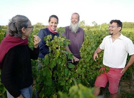 Domaine Guillemot-Michel - 2