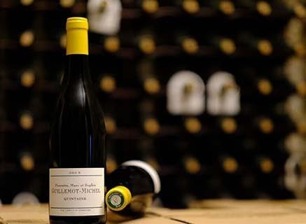 Domaine Guillemot-Michel - 4