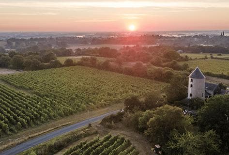 Domaine Laureau - 2