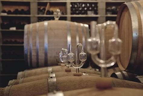 Domaine Laureau - 3