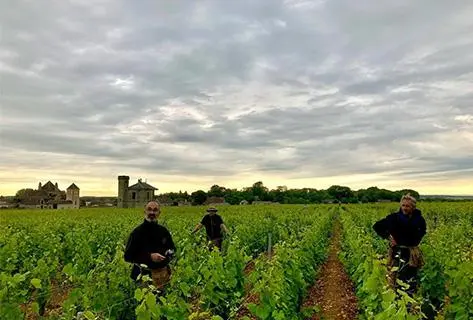 Domaine Méo-Camuzet - 2