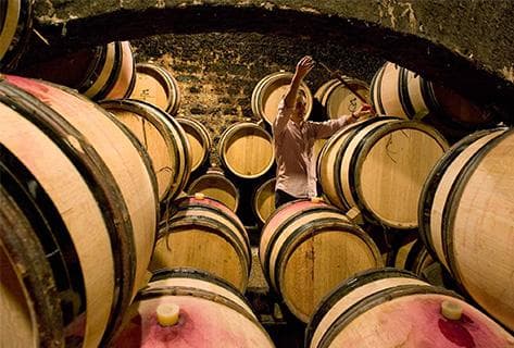 Domaine Méo-Camuzet - 4