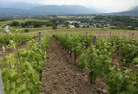 Domaine partagé (Gilles Berlioz) - 2