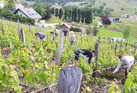 Domaine partagé (Gilles Berlioz) - 4