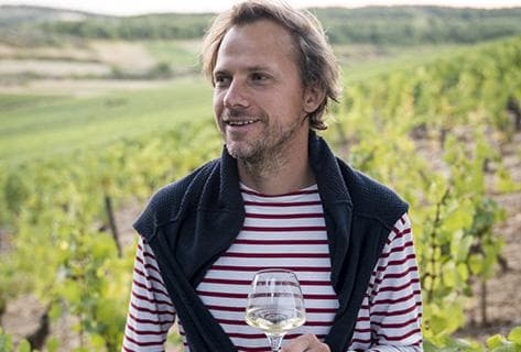 Foto des Partnerweinguts Domaine Rois Mages