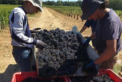 Domaine Saint-Cyr - 3