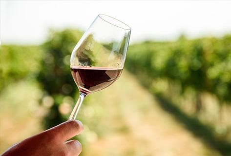 Dominique Laurent - 4