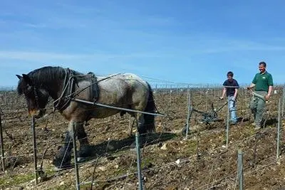 Photo du domaine partenaire Drappier