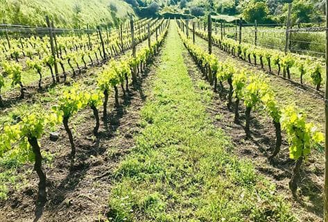 Foto della tenuta - Elena Fucci