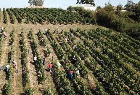 Photo du domaine partenaire Elian Da Ros