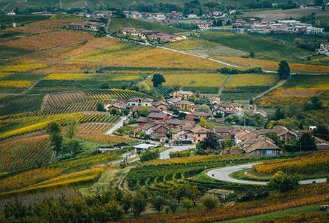 Elio Altare - 1