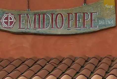 Photo du domaine partenaire Emidio Pepe