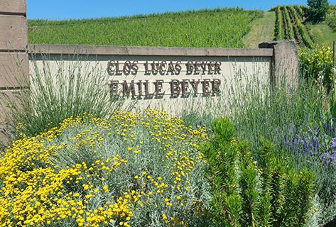 Emile Beyer - 1