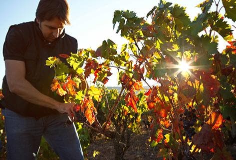 Photo of partner producer Exopto