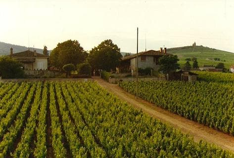 Photo du domaine partenaire Famille Dutraive