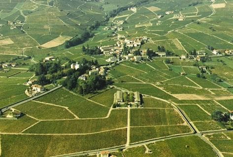 Famille Dutraive - 2