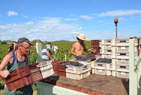 Famille Dutraive - 3