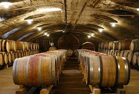 Famille Dutraive - 4