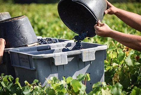 Fleury Père & Fils - 2