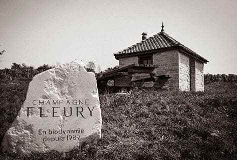 Fleury Père & Fils - 4