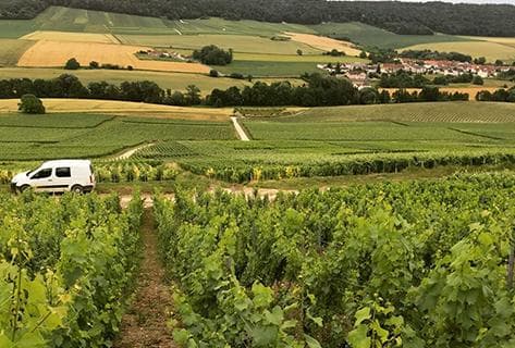 Photo du domaine partenaire Franck Pascal