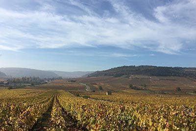 François Mikulski - 2