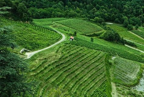 Photo du domaine partenaire François Rousset-Martin