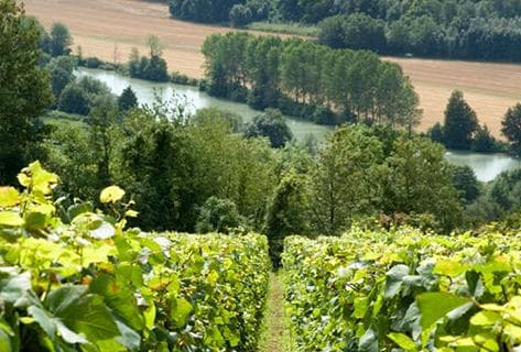 Françoise Bedel et Fils - 2