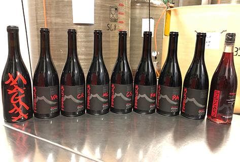 Frank Cornelissen - 3