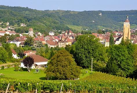 Ganevat (domaine) - 1