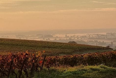 Foto della tenuta - Génot-Boulanger