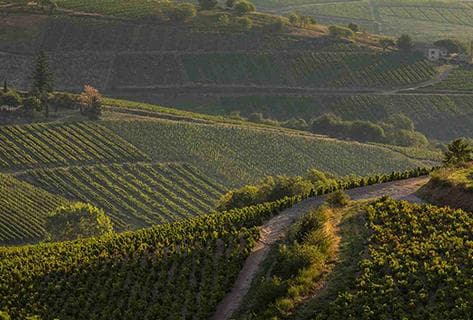 Georges Descombes - 3