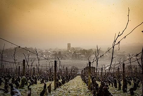 Georges Joillot (anciennement Jean-Luc Joillot) - 2