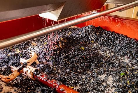 Georges Joillot (anciennement Jean-Luc Joillot) - 3