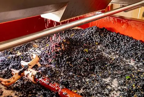 Georges Joillot (anciennement Jean-Luc Joillot) - 3