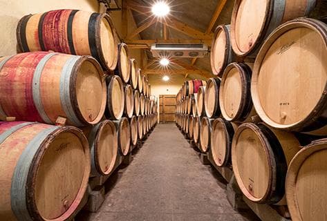 Georges Joillot (anciennement Jean-Luc Joillot) - 4