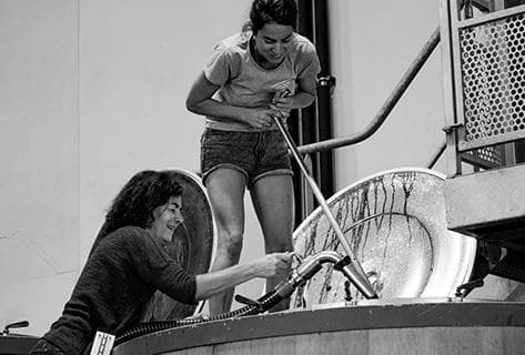 Foto des Partnerweinguts Georges Vernay