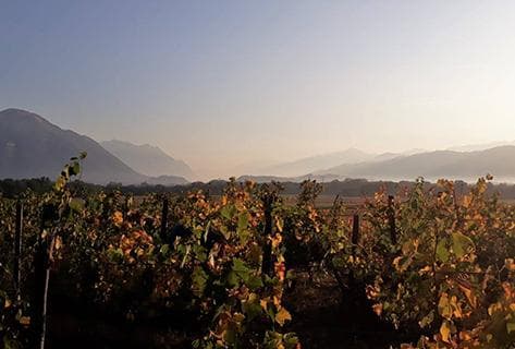 Foto della tenuta - Giachino