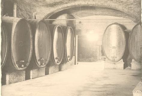 Giuseppe Mascarello - 3