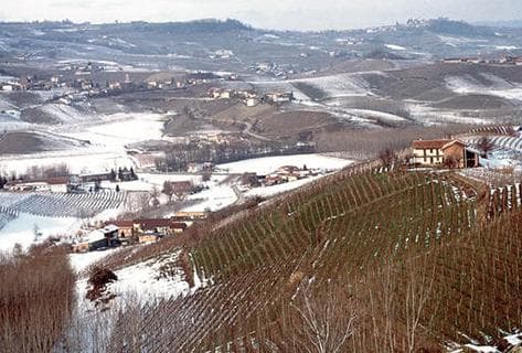 Giuseppe Mascarello - 4