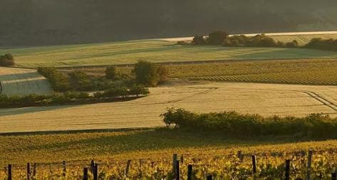 Photo principale du domaine