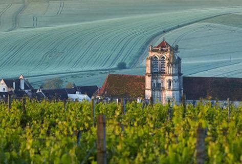 Foto della tenuta - Goisot