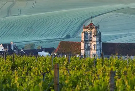 Photo du domaine partenaire Goisot