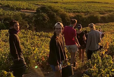 Foto della tenuta - Grégoire Hoppenot