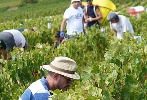 Grégoire Hoppenot - 2