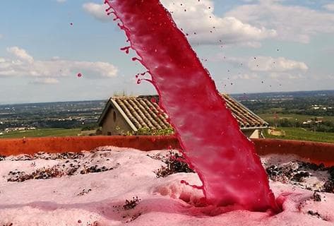 Grégoire Hoppenot - 3