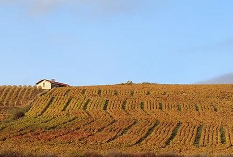 Grégoire Hoppenot - 4