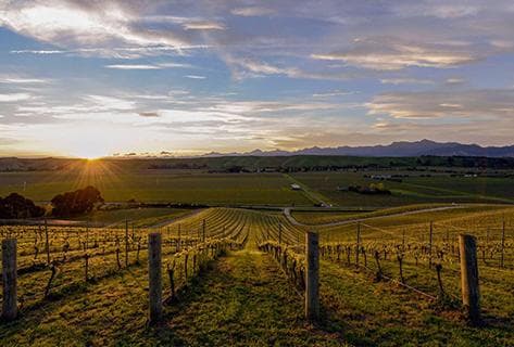 Foto della tenuta - Greywacke