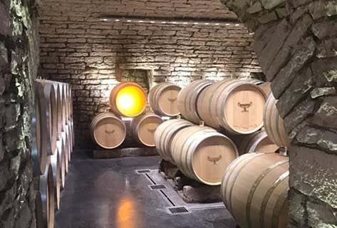 Gros Frère & Soeur - 3